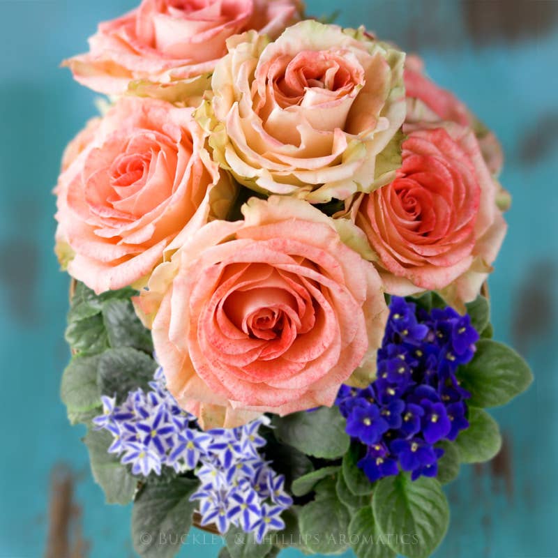 Violets & Roses Fragrance Oil