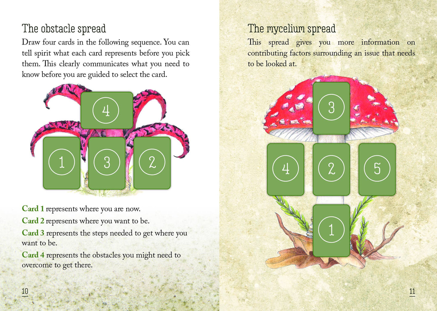 Mushroom Spirit Oracle (36 Cards & 112-Page Book)