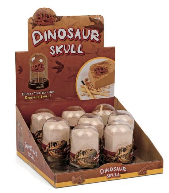 Dig and Display Dinosaur Skull