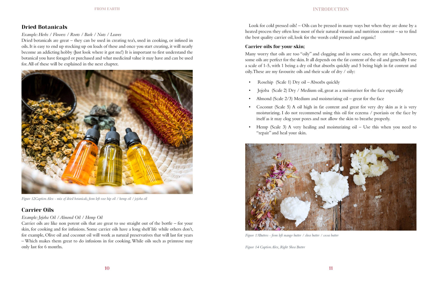 From Earth: Create Your Own Natural Apothecary (Hardcover)