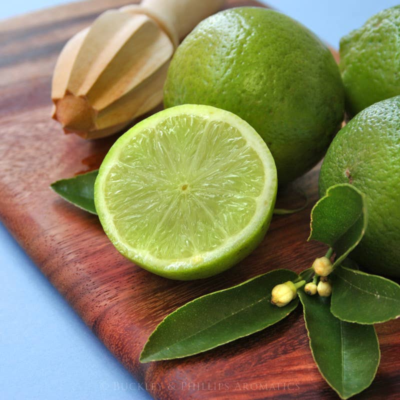 Rosewood & Lime Fragrance Oil