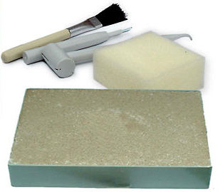 T-rex Excavation kit