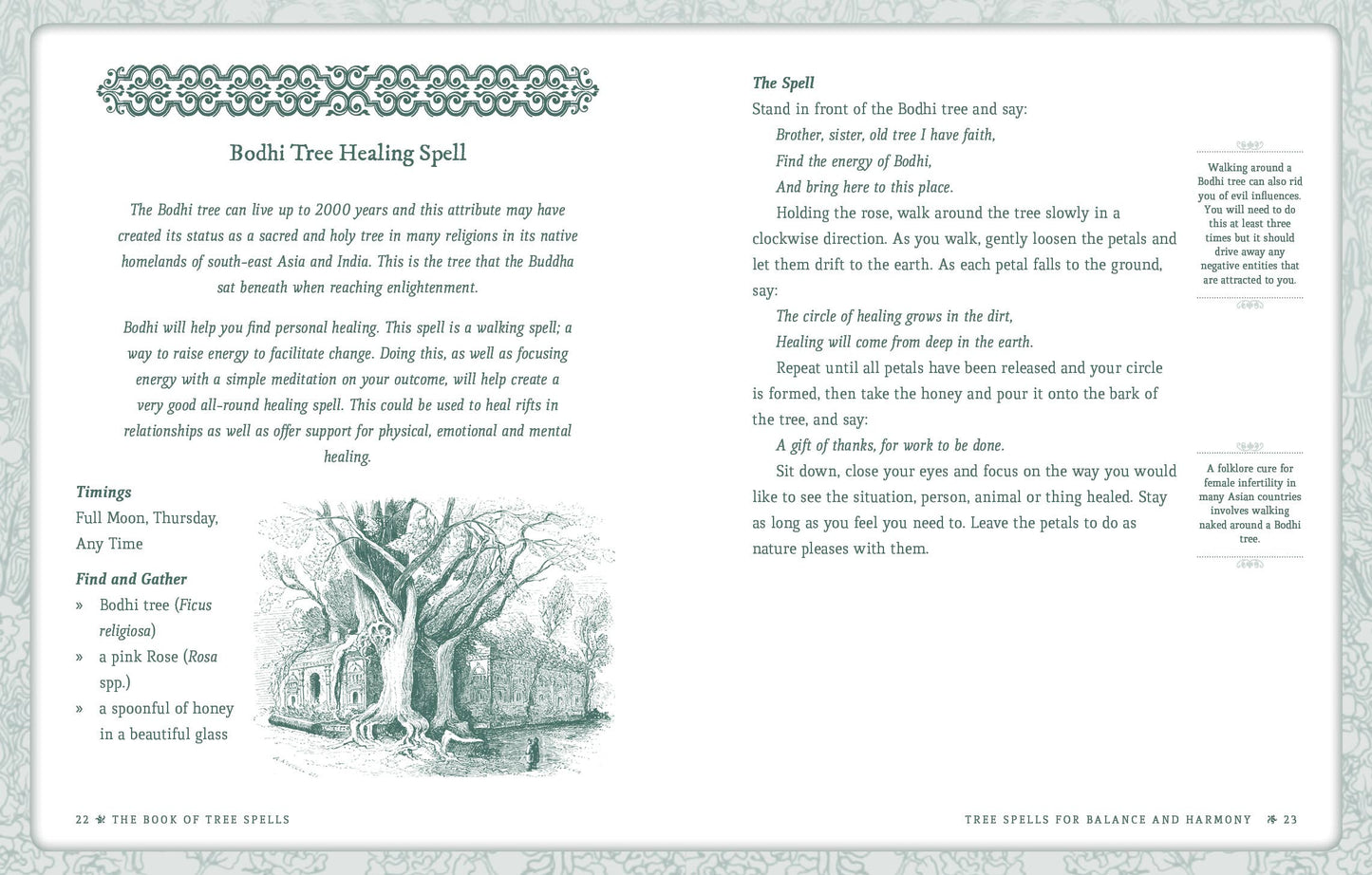 Book of Tree Spells