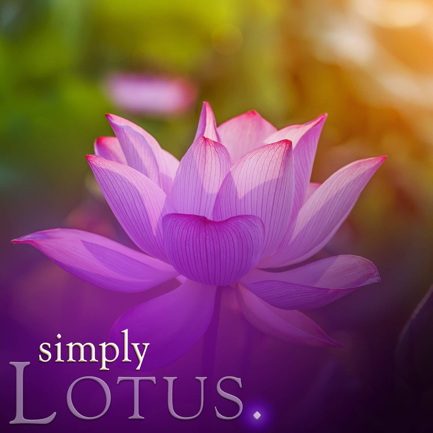 Lotus Soy Jar Candle