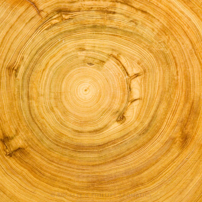 Sandalwood Fragrance Oil