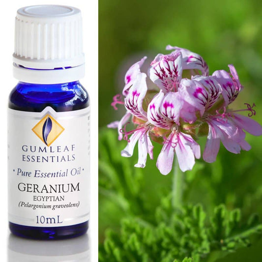 Geranium Egyptian Essential Oil