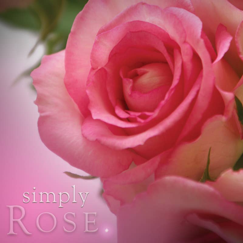 Rose Soy Jar Candle