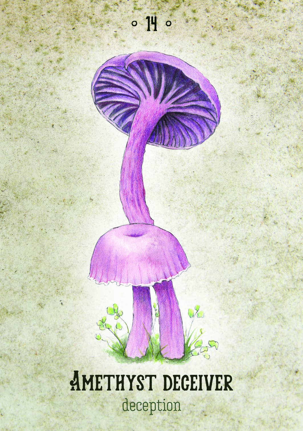 Mushroom Spirit Oracle (36 Cards & 112-Page Book)