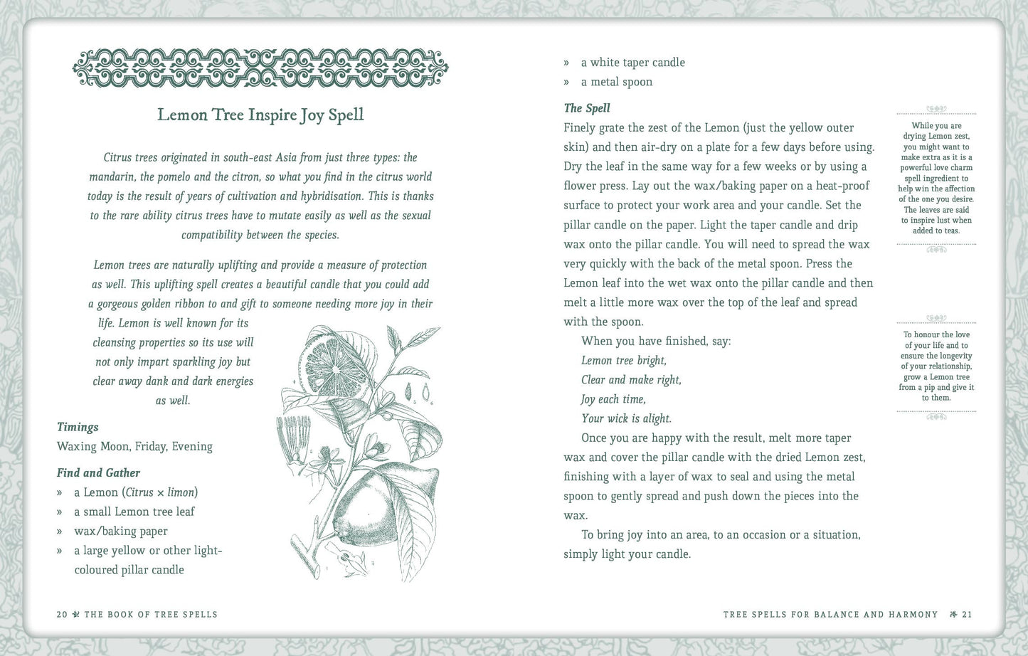 Book of Tree Spells
