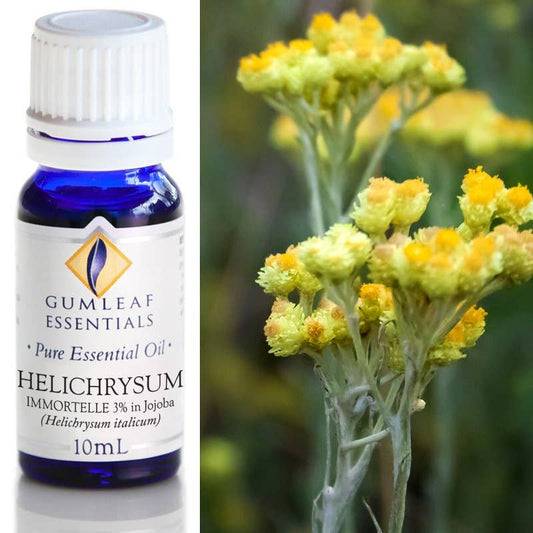Helichrysum (3% in Jojoba) Essential Oil