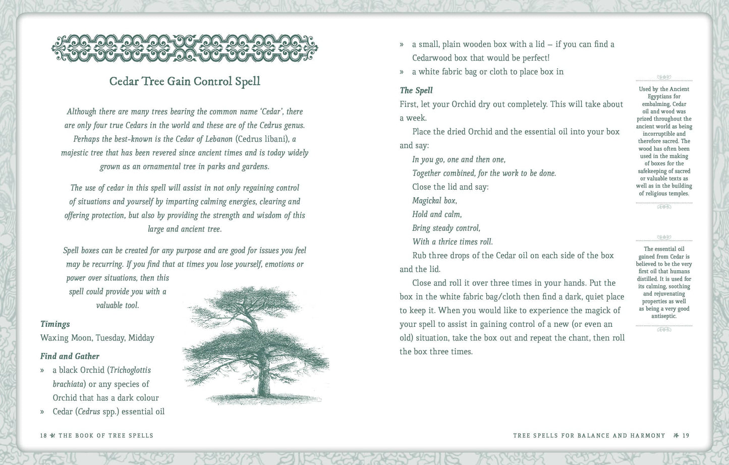 Book of Tree Spells
