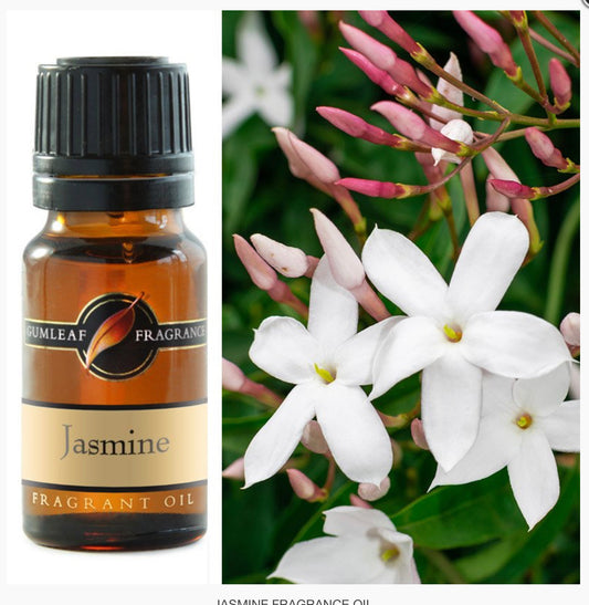 Jasmine Fragrance oil