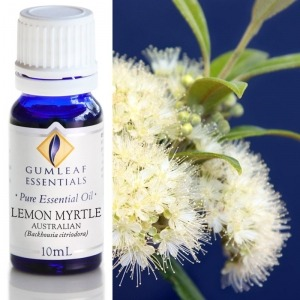 Lemon Myrtle Essential Oil