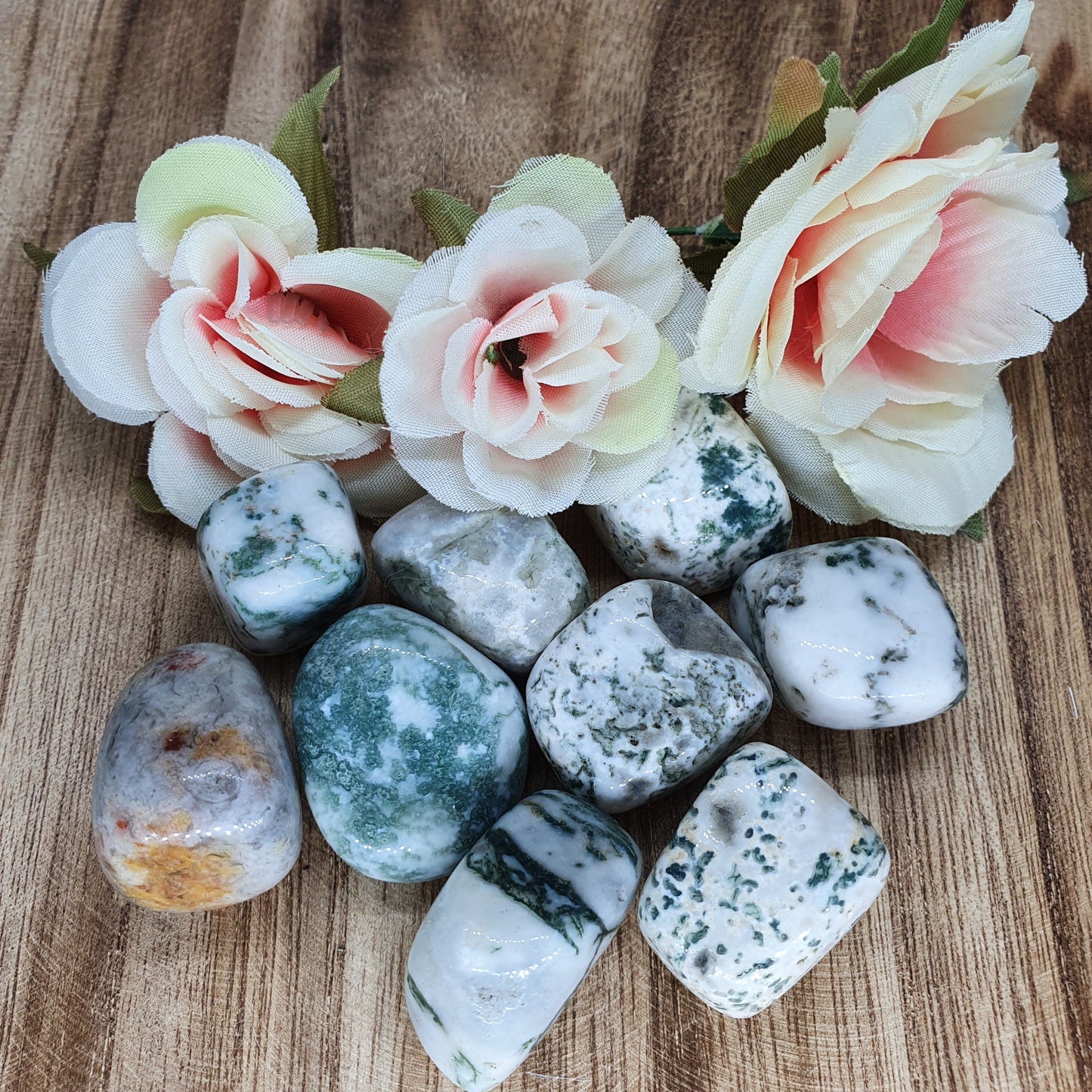 Tree Agate Tumbled Stone
