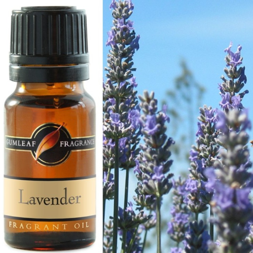 Lavender Fragrance Oil