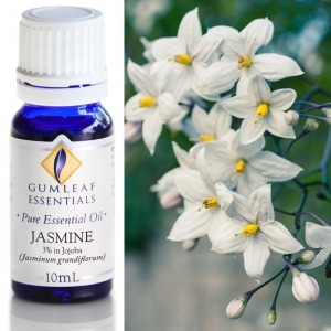 Jasmine (3% in Jojoba) Essential Oil