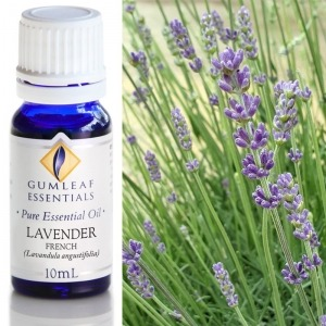 Lavender Bulgarian Essential Oil