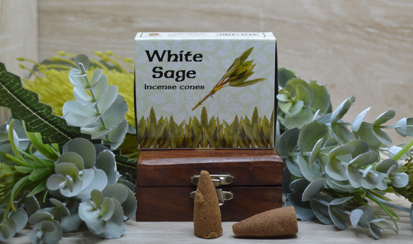 White Sage Cones - Kamini