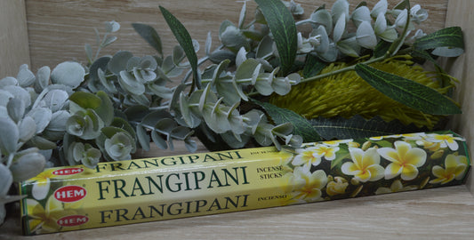 Frangipani - Hem