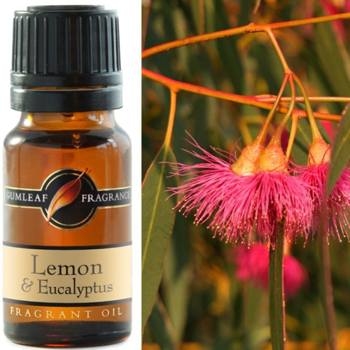 Lemon and Eucalyptus Fragrance Oil