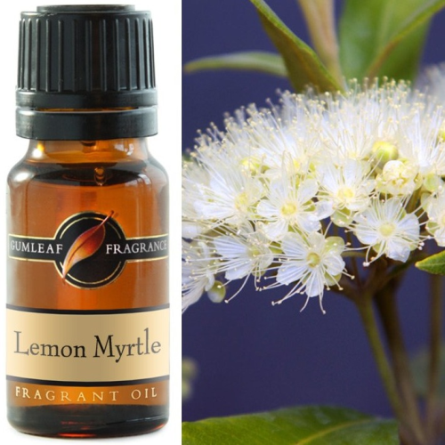 Lemon Myrtle Fragrance Oil