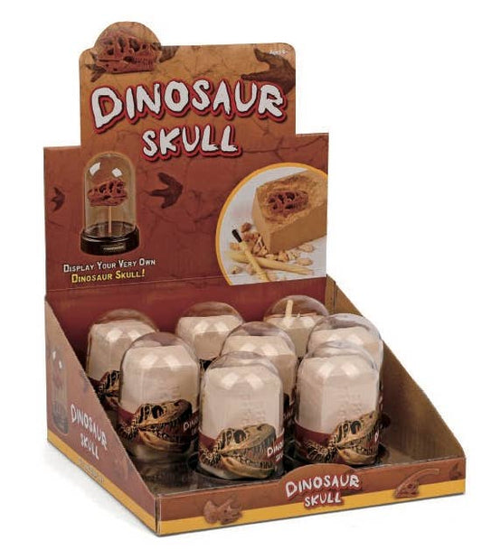 Dig and Display Dinosaur Skull