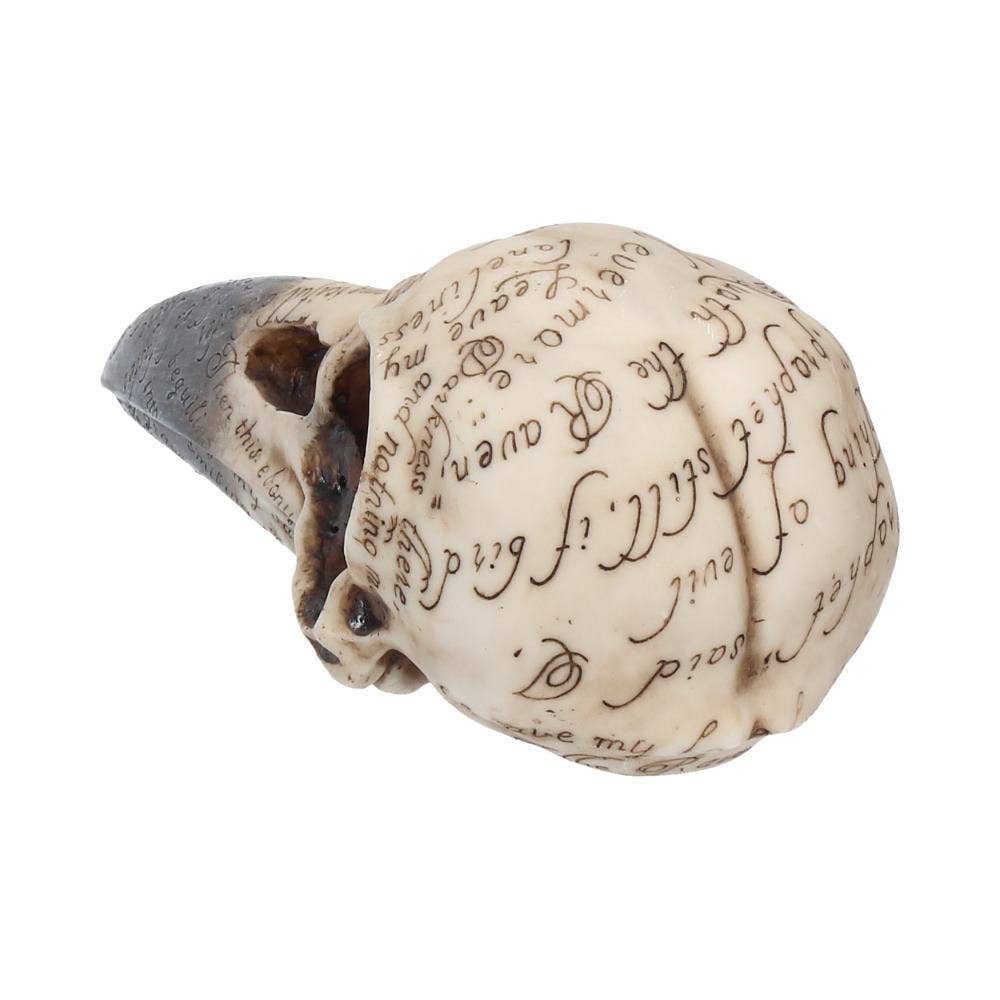 Edgar's Raven Skull Figurine 21cm