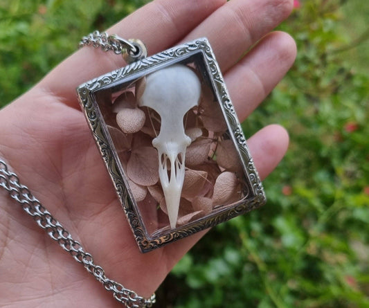 Starling Skull Pendant