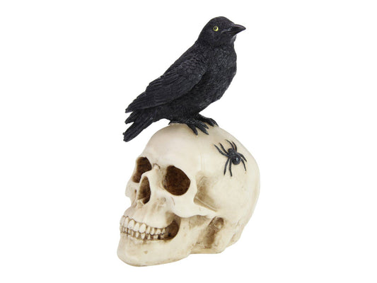 27cm Skull with Black Crow on Top