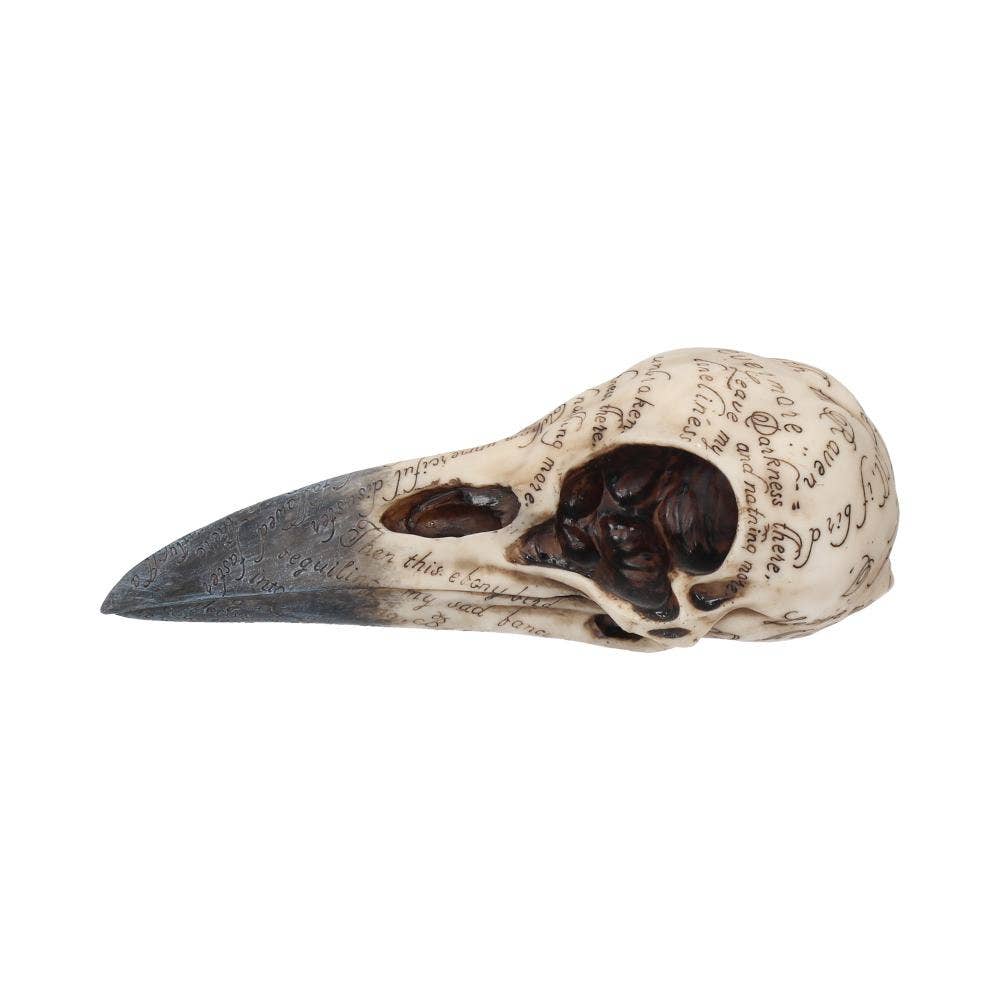 Edgar's Raven Skull Figurine 21cm