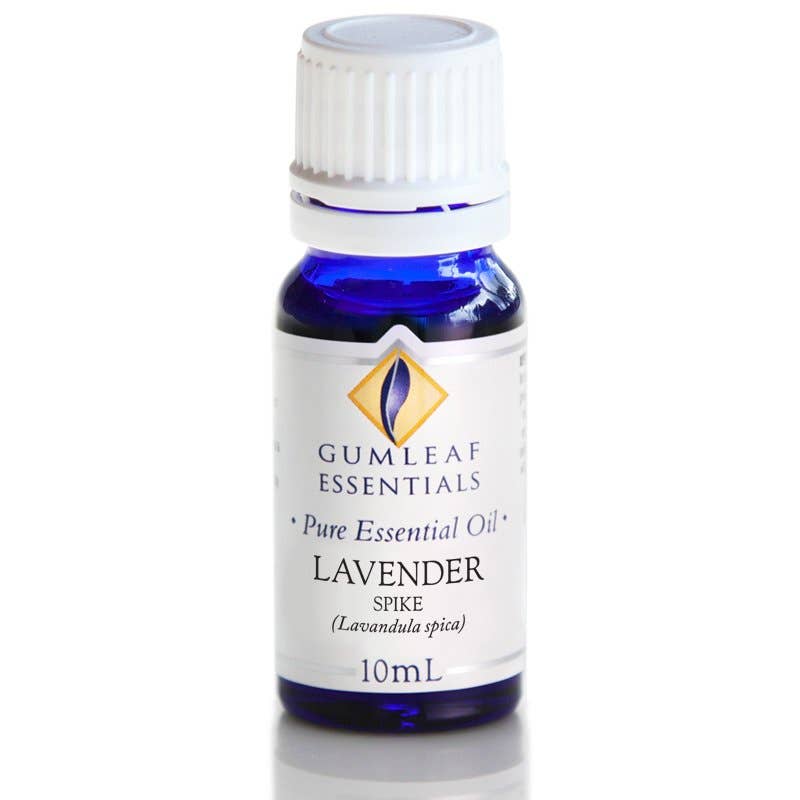 Lavender Spike Essential Oil