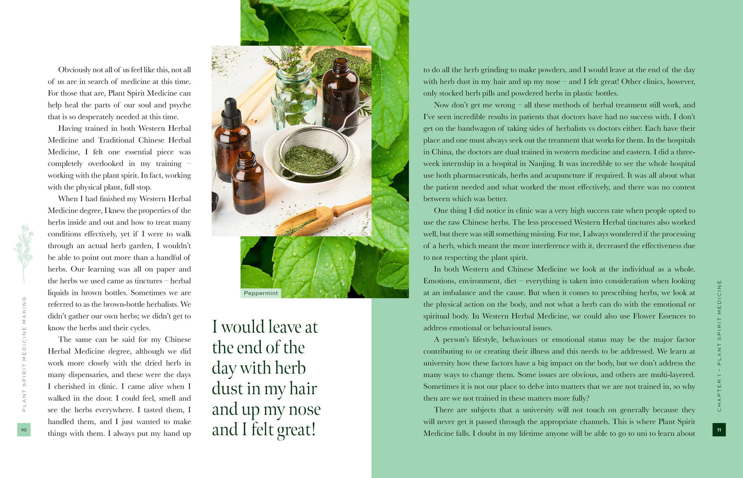 Plant Spirit Medicine (Hardcover)