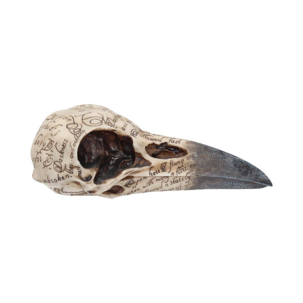 Edgar's Raven Skull Figurine 21cm