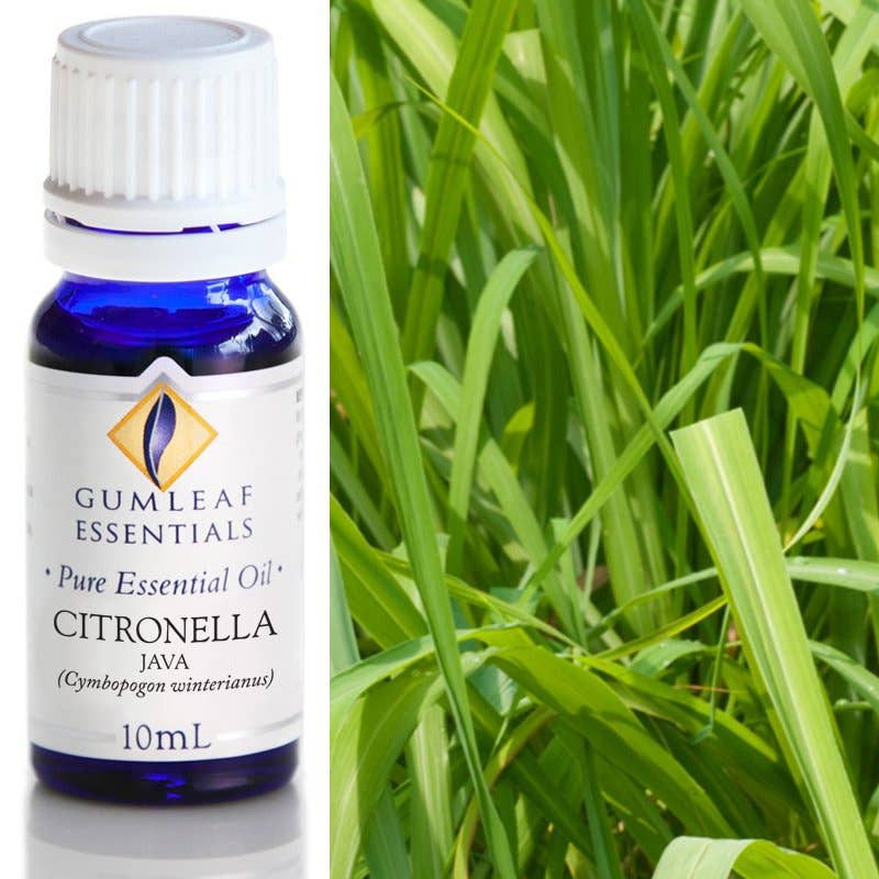 Citronella Java Essential Oil