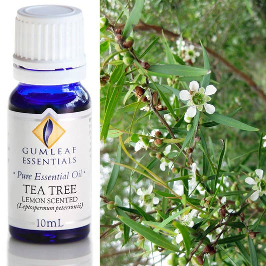 Tea Tree Lemon Scented Essential Oil
