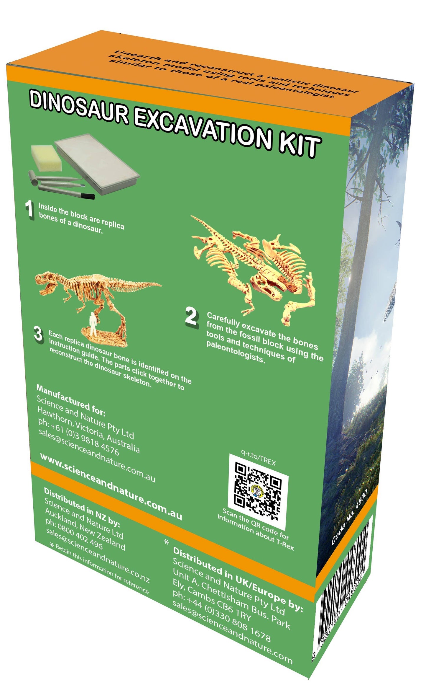 T-rex Excavation kit