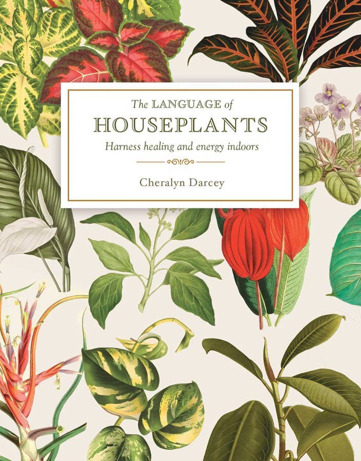 BOOK - Language of Houseplants (RRP $24.99)