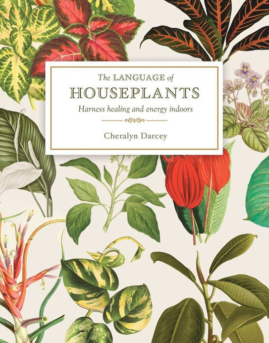 BOOK - Language of Houseplants (RRP $24.99)