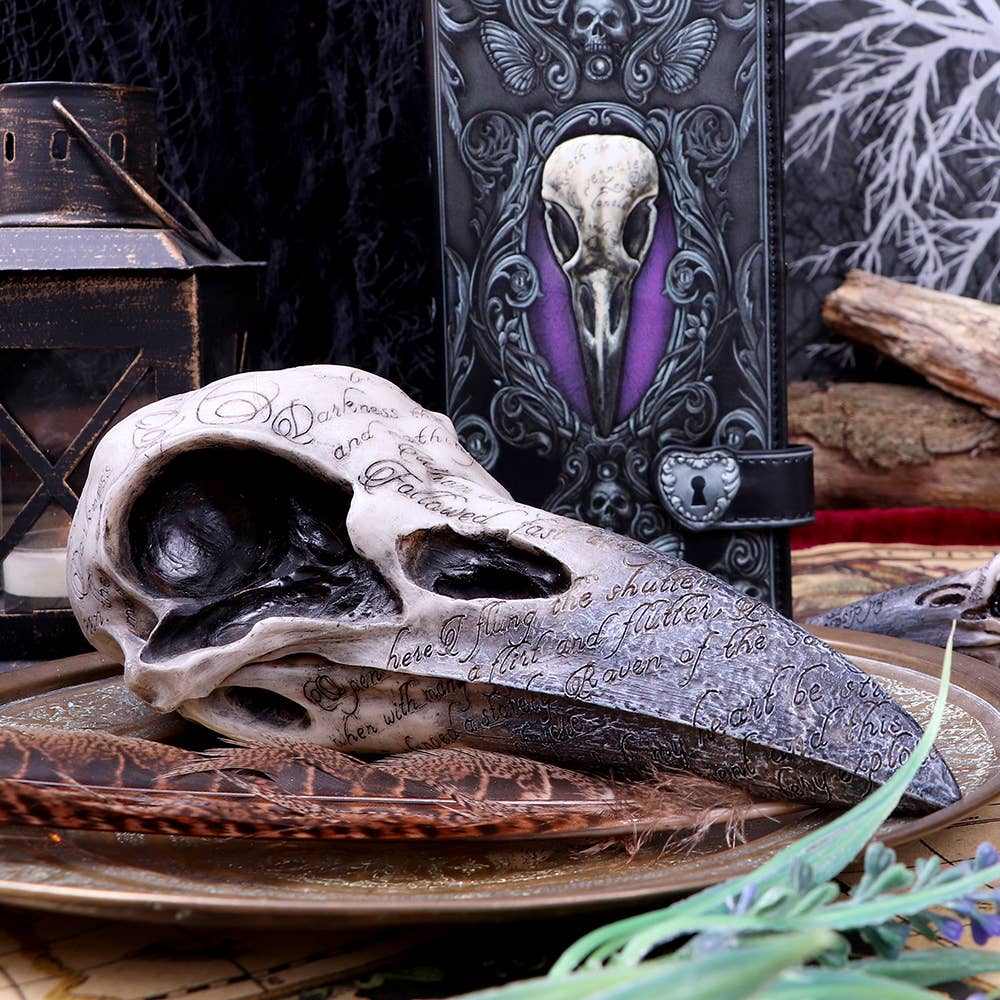Edgar's Raven Skull Figurine 21cm