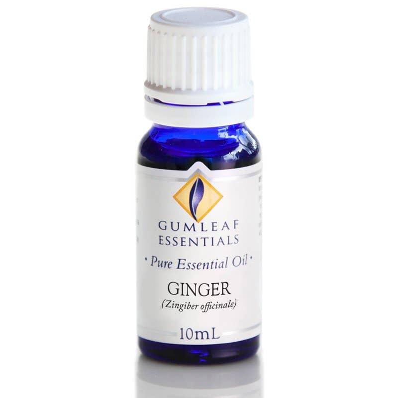 Ginger Essential Oil