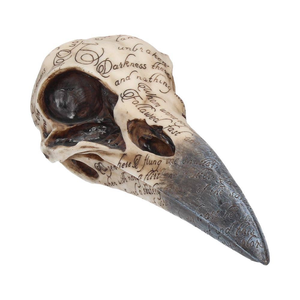 Edgar's Raven Skull Figurine 21cm
