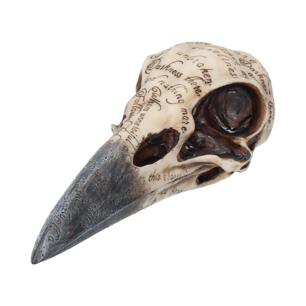 Edgar's Raven Skull Figurine 21cm