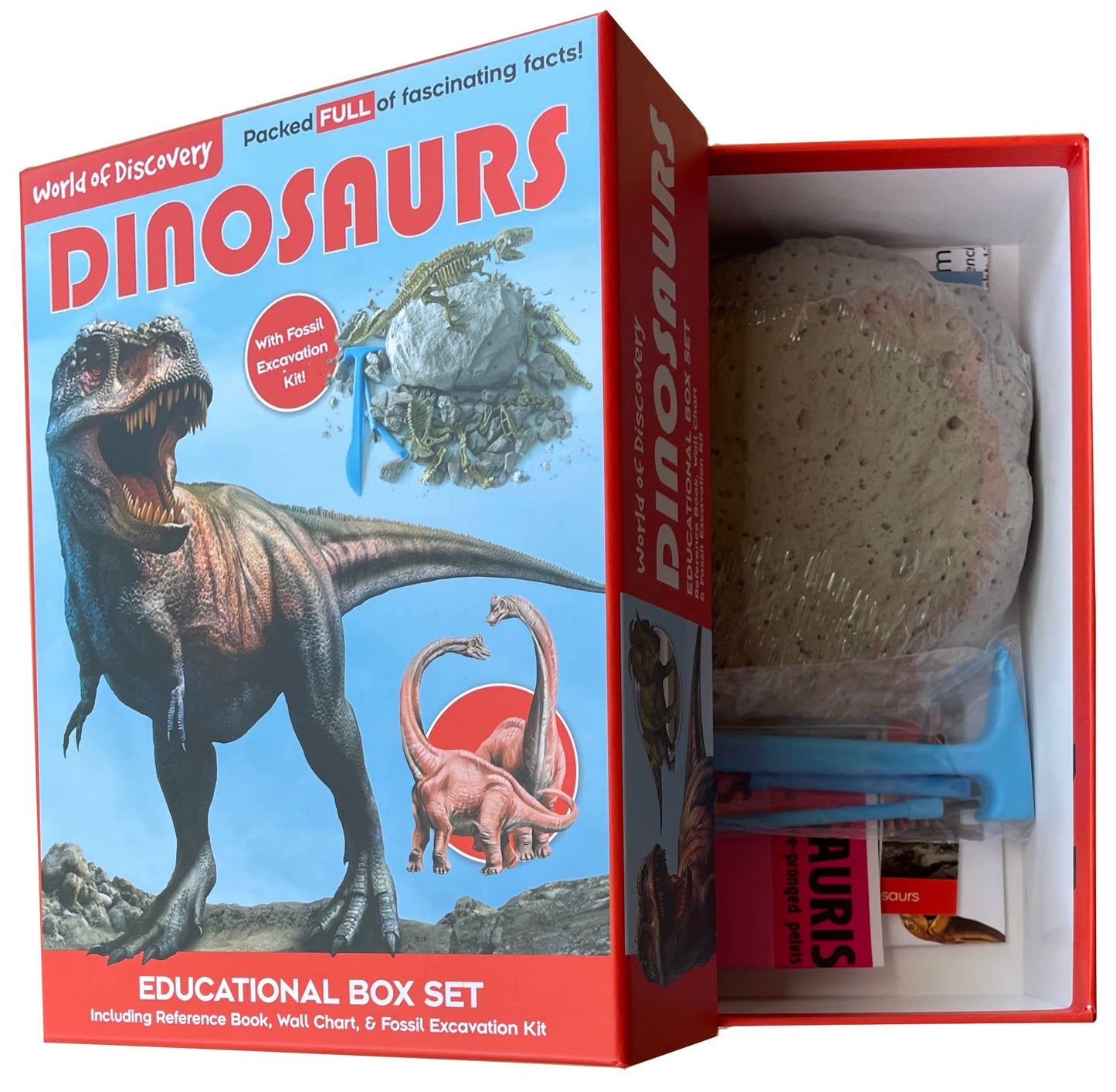 Dinosaurs Educational Box set