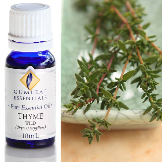 Thyme Wild Essential Oil