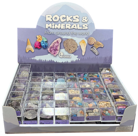 Rocks and Minerals Display