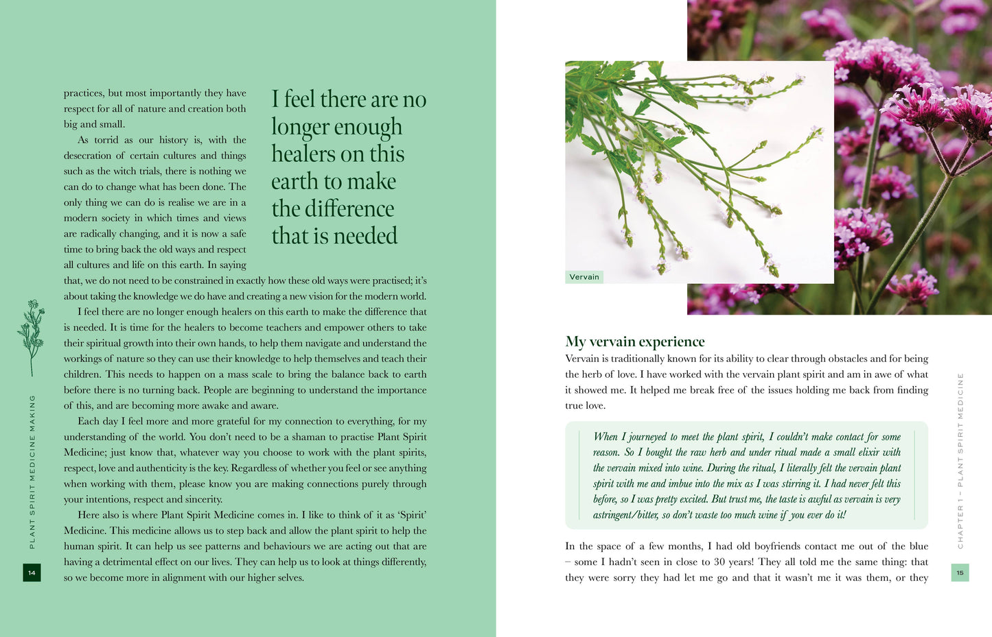 Plant Spirit Medicine (Hardcover)