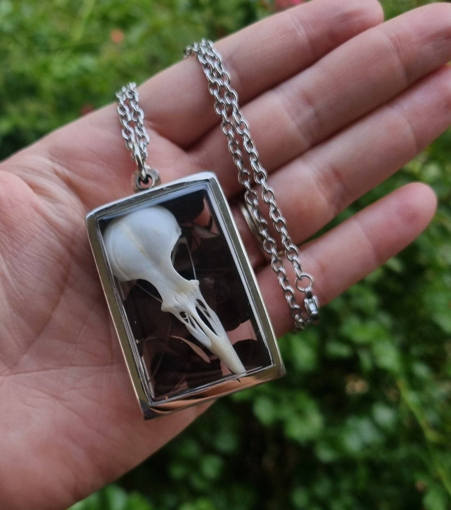 Starling Skull Pendant