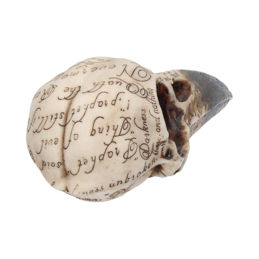 Edgar's Raven Skull Figurine 21cm