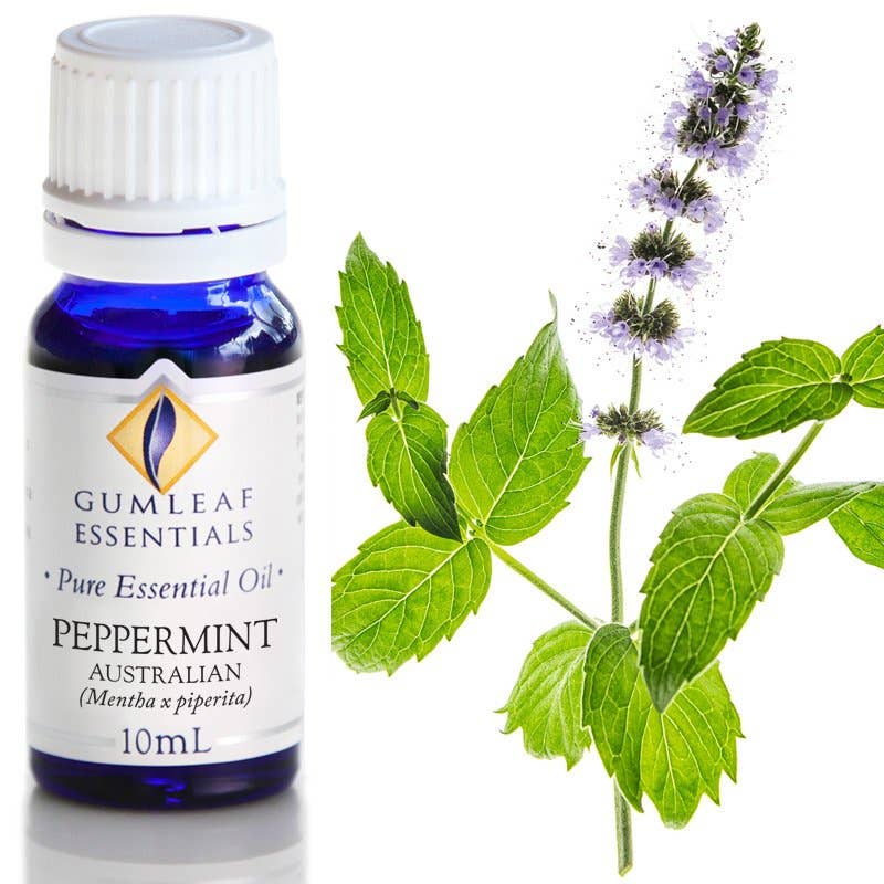 Peppermint Australian Essential Oil