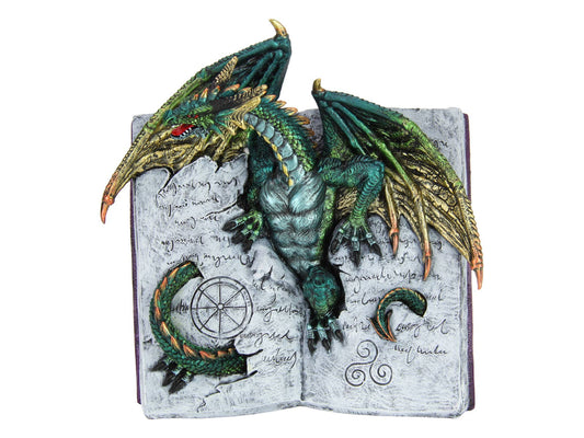 21cm Dragon Emerging From Book